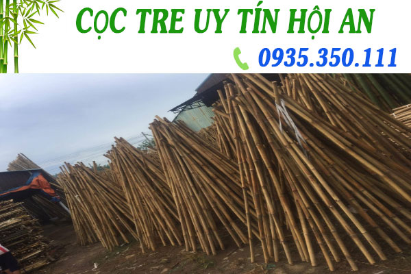 Đại lý cọc tre uy tín Hội An